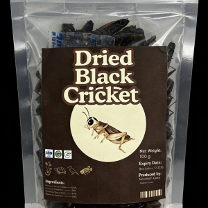 Dried Whole Black Cricket