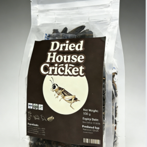 Dried House Cricket